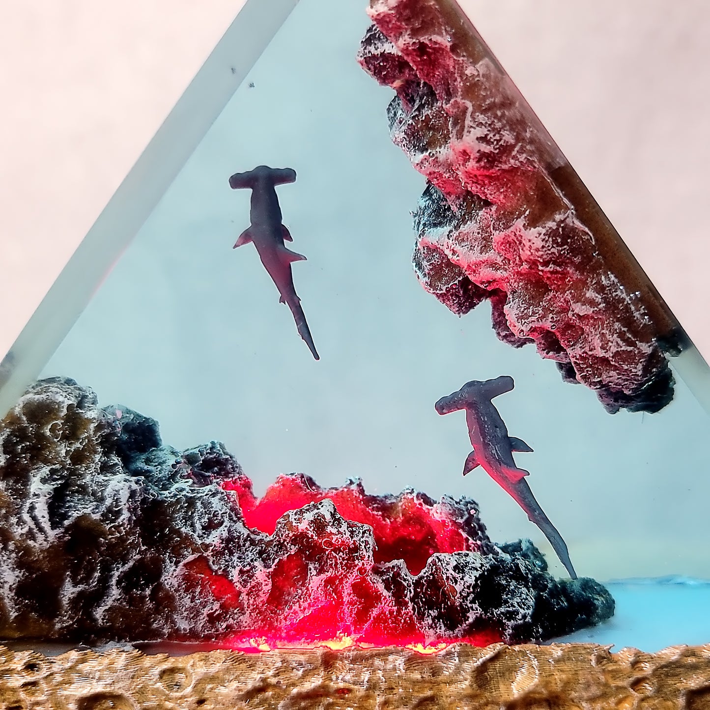 Ocean Shark Triangle